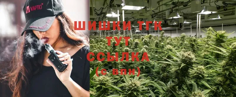 Бошки марихуана THC 21%  hydra зеркало  Волгореченск 